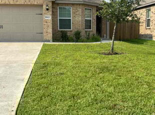 Glenn M.'s lawn care service result