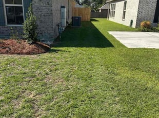 Jainil T.'s turf maintenance service result