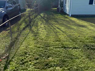 Lauren R.'s grass cutting service result