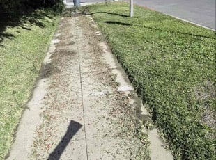 Torrell H.'s turf care service result