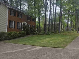 Delden F.'s lawn maintenance service result