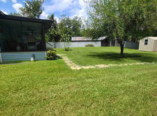 Paul M.'s lawn care services service result
