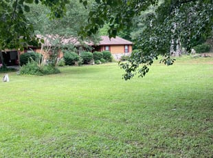 James W.'s grass maintenance service result