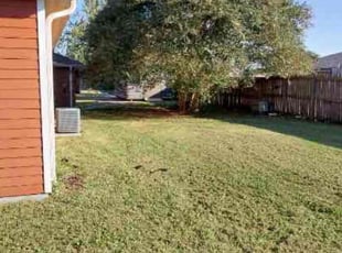 Shaqurah Z.'s turf maintenance service result