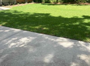 Candace B.'s lawn care service result