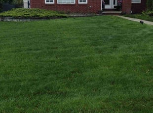 Jeffrey O.'s lawn maintenance service result