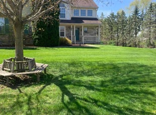 Mike Y.'s turf care service result