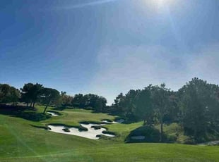 Peter C.'s Cleanups service result