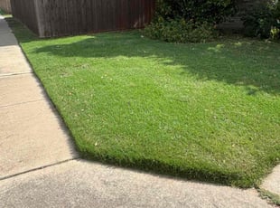 Anita M.'s turf care service result