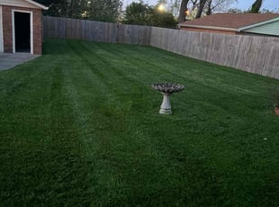 Tim L.'s lawn service service result