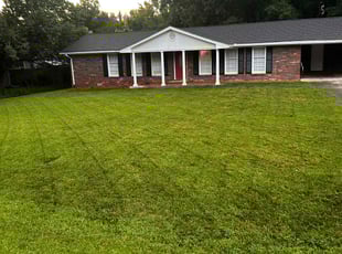 Lucien V.'s grass maintenance service result