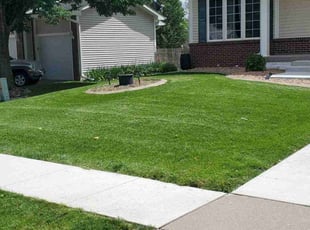 Teresa H.'s lawn care services service result