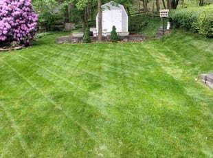 Arnisha K.'s lawn care service result