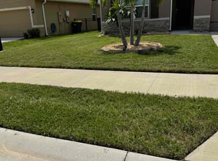 Kathleen G.'s turf maintenance service result