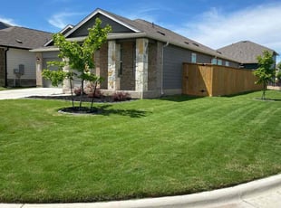 Michael P.'s lawn maintenance service result
