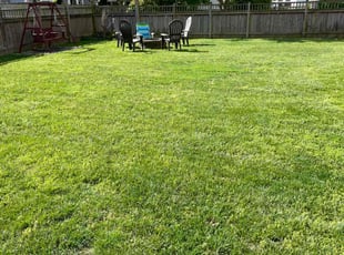 Sharon P.'s turf maintenance service result