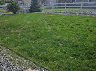 Deborah K.'s lawn maintenance service result