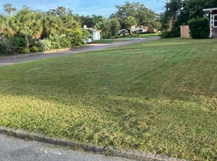 Denise B.'s grass cutting service result