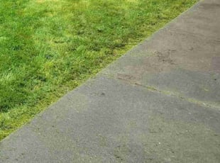 Nehal P.'s lawn maintenance service result