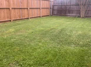 James M.'s lawn maintenance service result