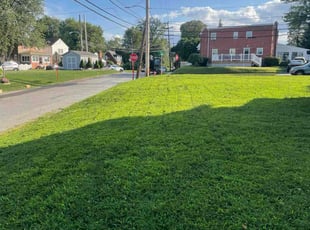 Ian G.'s lawn care service result