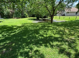 Julei B.'s yard care service result