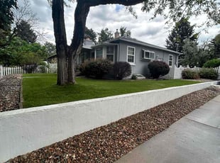 Regina B.'s lawn care service result