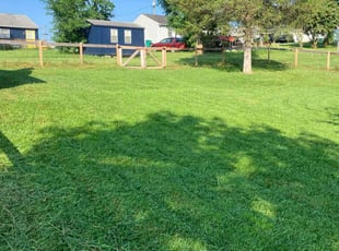 Letha S.'s turf maintenance service result