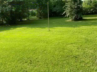 Carole K.'s lawn care service result