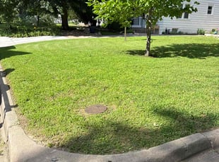 Lamar J.'s grass maintenance service result