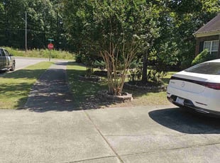 Reginald B.'s Bush Trimming service result