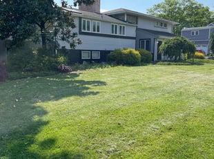Corey S.'s grass cutting service result