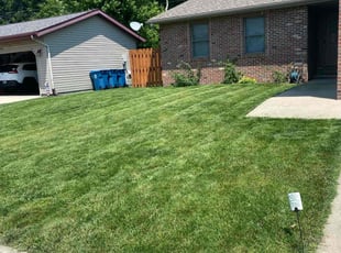 Lola J.'s grass cutting service result