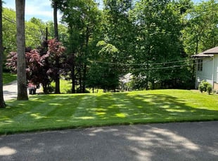 Stayce D.'s lawn care services service result