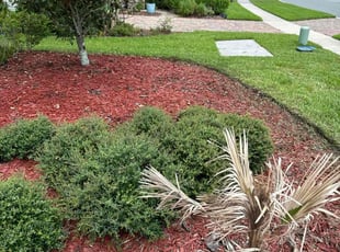 Joshua B.'s Flower Bed Weeding service result