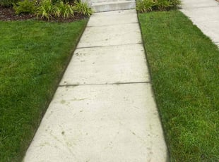 Anita L.'s lawn maintenance service result