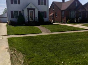 Ronald J.'s lawn service service result