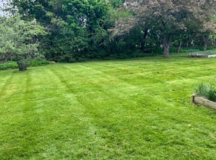 Kim P.'s lawn care service result