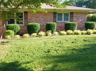 Patricia P.'s Bush Trimming service result