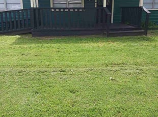 Monica S.'s grass cutting service result