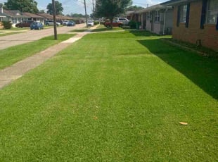 Juan G.'s turf maintenance service result