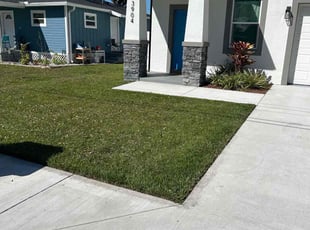 Lisa R.'s grass cutting service result