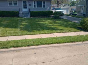 Jason B.'s lawn maintenance service result