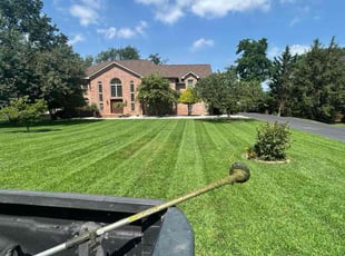 Emma M.'s lawn service service result