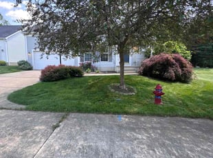 Dwayne C.'s lawn maintenance service result