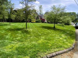 Helen W.'s grass cutting service result