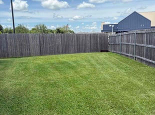 Bridgette B.'s turf maintenance service result