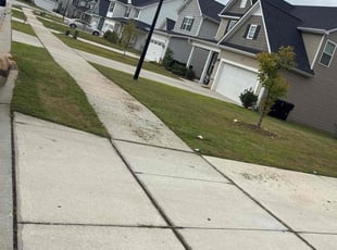 Nancy C.'s grass cutting service result