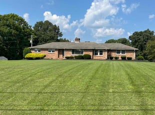 Alison M.'s lawn service service result