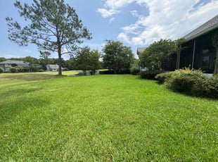 Alicia F.'s grass maintenance service result